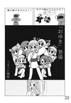 Page 31 of Tsurupeta Kenkyuusho Houkokusho