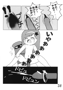 Page 37 of Tsurupeta Kenkyuusho Houkokusho