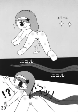 Page 38 of Tsurupeta Kenkyuusho Houkokusho