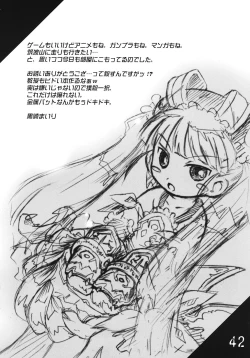 Page 41 of Tsurupeta Kenkyuusho Houkokusho