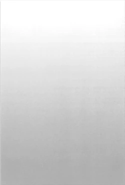 Page 19 of CHALDEA NIGHT