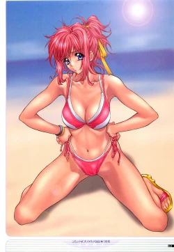 Page 72 of illustration works