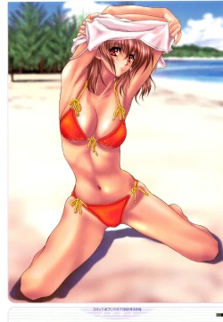 Page 74 of illustration works