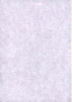 Page 2 of Bleach Kawaii Hito - Cute Person