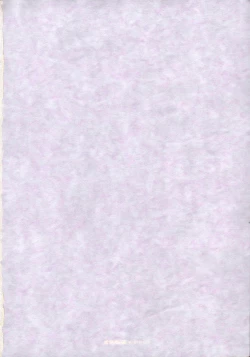 Page 33 of Bleach Kawaii Hito - Cute Person