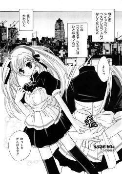 Page 27 of Men's Gold 2008-11