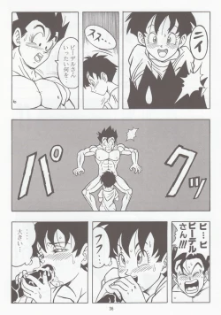 Page 35 of DRAGONBALL H Bessatsu Soushuuhen
