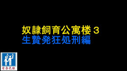 Download Dorei Shiiku Mansion 3 Ikenie Hakkyo Shokei-Hen