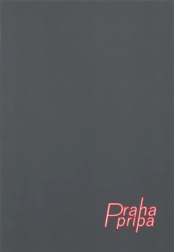 Page 20 of AroMikadon