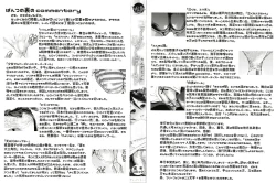 Page 3 of Cotton 100%