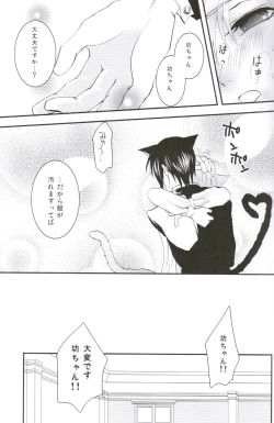 Page 24 of Akumade Nyanko Desukara