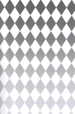 Page 26 of Akumade Nyanko Desukara