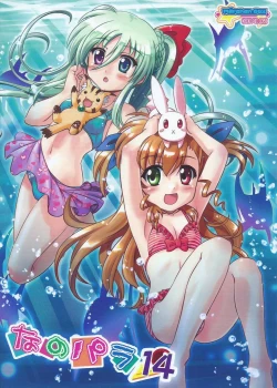 Page 1 of Nano-para 14