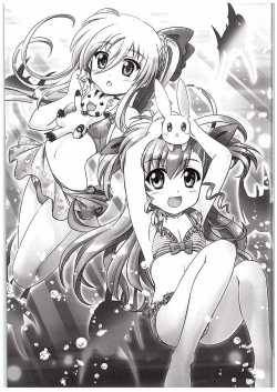 Page 2 of Nano-para 14