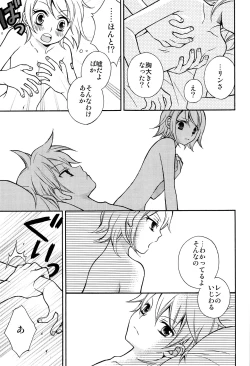 Page 14 of Kagamine Len x Rin Seijin Muke Sairokushuu RECORD Rimen