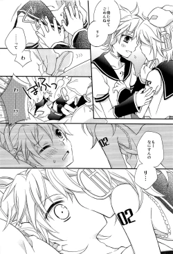Page 21 of Kagamine Len x Rin Seijin Muke Sairokushuu RECORD Rimen