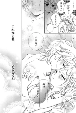 Page 39 of Kagamine Len x Rin Seijin Muke Sairokushuu RECORD Rimen