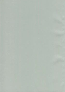 Page 3 of Ermafrodito!