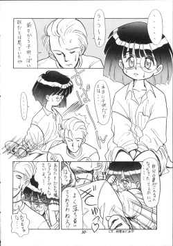 Page 29 of Hidoi Hon