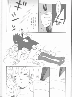 Page 33 of Dream Passport