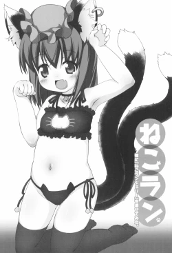 Page 17 of Chen to Issho