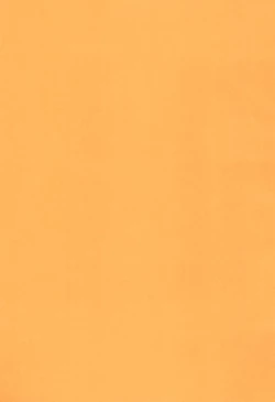 Page 3 of Yappari Neko nano.