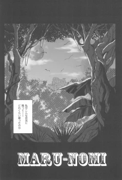 Page 67 of 1006 Nano - Cyclone no Soushuuhen