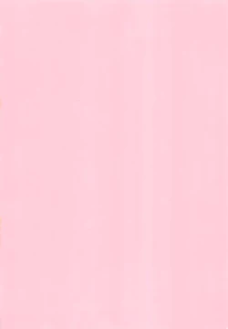 Page 3 of Dekigokoro Kare Shirt