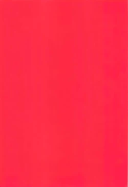 Page 36 of Rental! +α