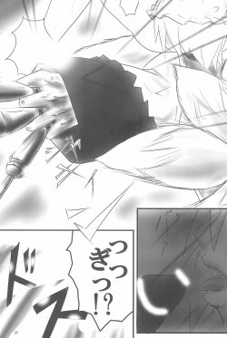 Page 25 of Touhou Ran Ranryuu