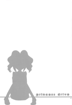 Page 14 of princess drive