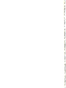 Page 43 of Ryo-chin Land