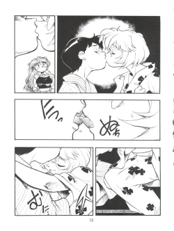 Page 15 of Evan 26.5 3