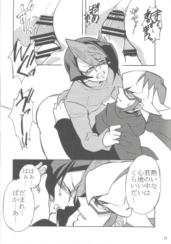 Page 12 of Akanma Reiji wa kurosaki hayabusa to no kyori o chidjimetai