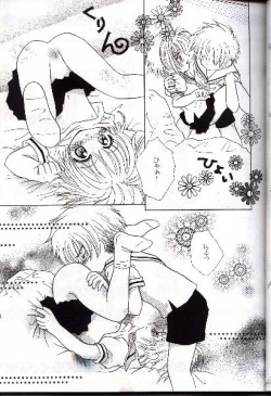 Page 23 of Wolf and Cherry