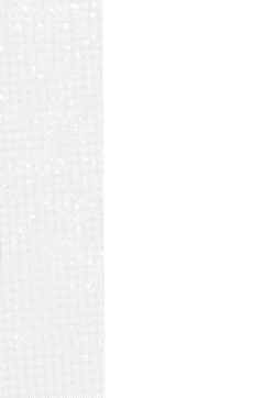 Page 40 of Kimi ga Suki