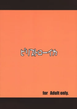 Page 25 of Seiya no Duelist Junbigou