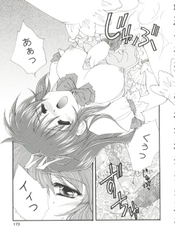 Page 179 of CONSERVATION