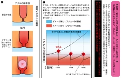 Page 20 of アナニー入門〜女装子マッコ流アナニー生活〜