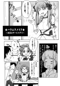 Page 3 of Haramura Maid