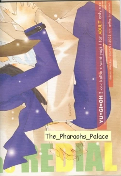 Page 25 of Telephone Line Redial