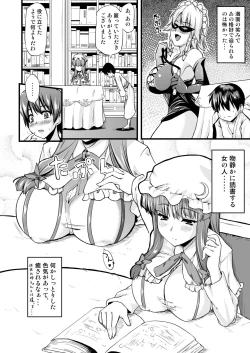 Page 3 of Toshokan no Onee-san ga Ijimete Ageru.