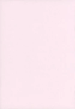 Page 28 of Mayoi Neko