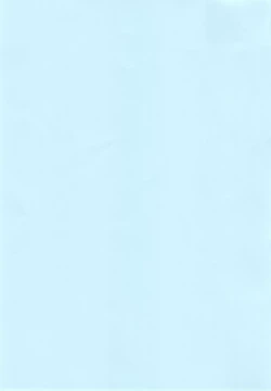 Page 3 of BREAK BLUE MARRON SPARRING