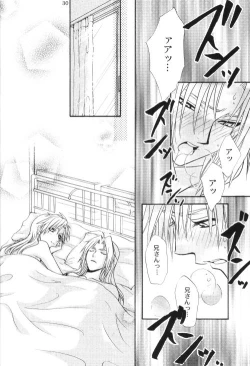 Page 29 of Honey Hunt