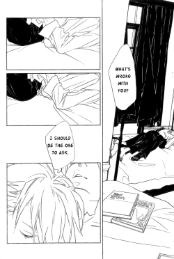 Page 17 of Metamorphosis