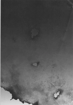 Page 48 of Anata ga Anchovy o Shiawase ni Suru Hon