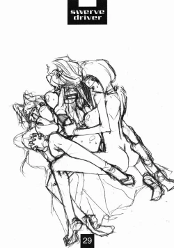 Page 28 of Swerve Driver