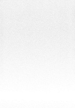 Page 4 of sukide uzuite