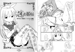 Download Awa no Ohime-sama Melonbooks Booklet